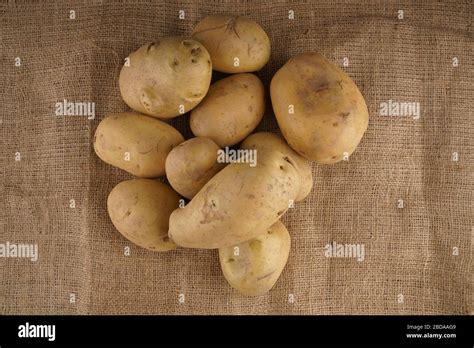 patato crop  res stock photography  images alamy
