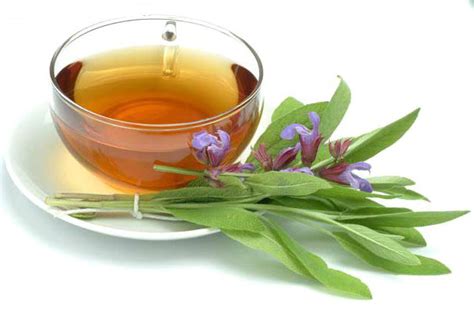 how to dry up breast milk quickly home remedies