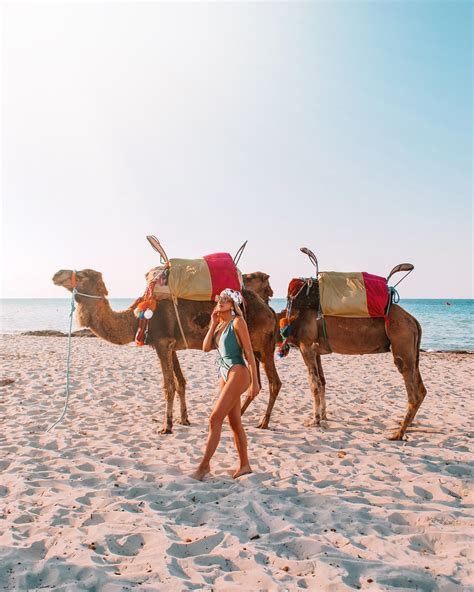 The ultimate guide to djerba tunisia – Artofit