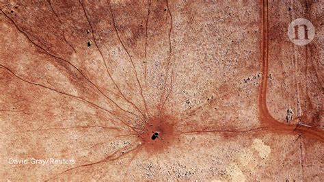 eyes wasps  asteroid dust augusts  science images