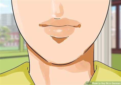 how do you say sit in german to a dog