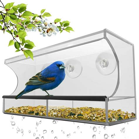 window bird feeder  strong suction cups