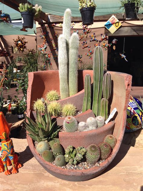 Cactus Landscape Porch Ideas