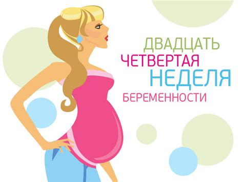 24 неделя беременности – ROCROS