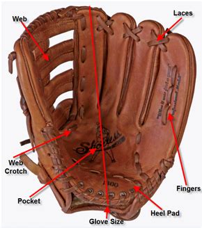 How To Measure Your Hand For Baseball Glove - Images Gloves and ...