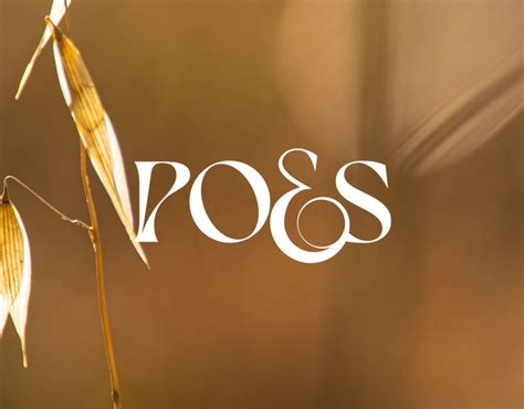 poes brand identity packaging  images behance