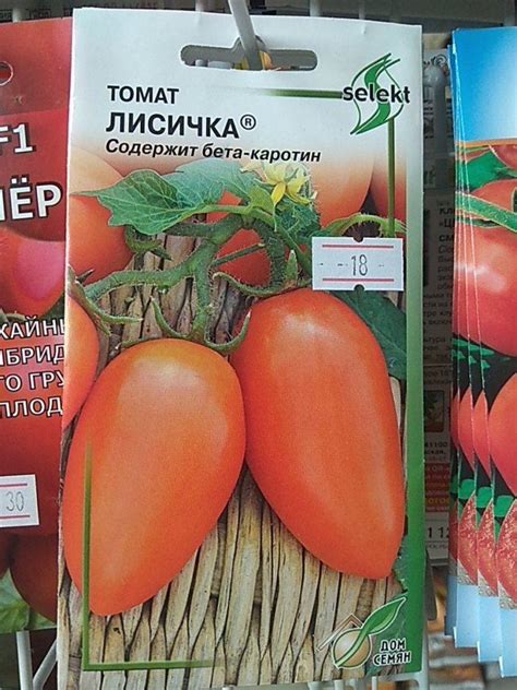 Томат Лисичка: характеристика и описание сорта, уход и выращивание ...