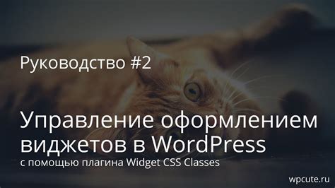 Руководство #2: Управление оформлением виджетов в WordPress с помощью ...