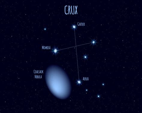Top 60 Crux Clip Art, Vector Graphics and Illustrations - iStock