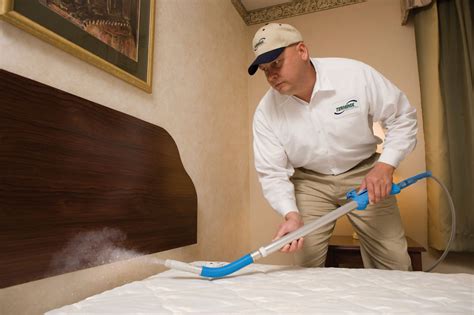bed bugs extermination inscmagazine