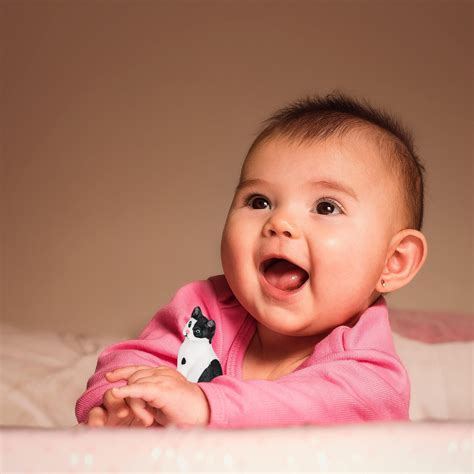 Luxshiny Lifelike Cat Figurines for Children Observation Training 1Pack