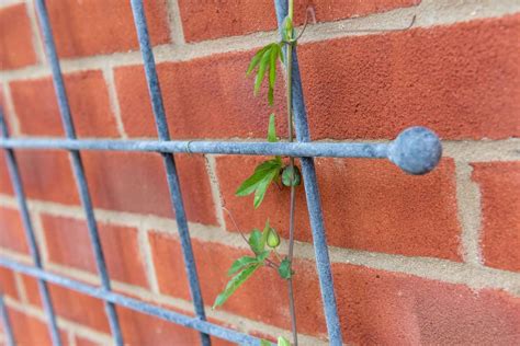 Southwold Decorative Trellis Panels - Harrod Horticultural
