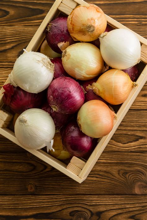 How to grow your own onions – Artofit