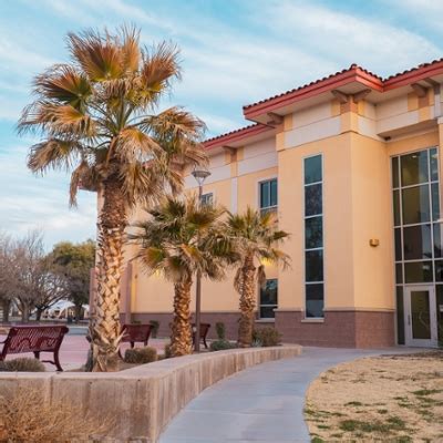 programs  mexico state university  bold shape  future