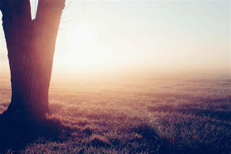 photoGraph - Photography