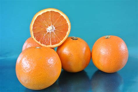moro good fruit guide