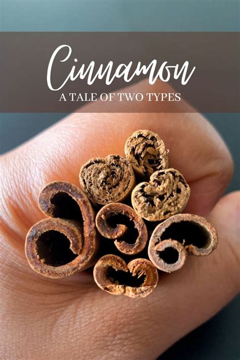Is Sweettitspice the Next Cinnamon? The Flavor Trend Experts Weigh In - 7hww7lq