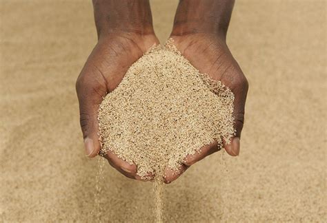 teff trend uplink corporation