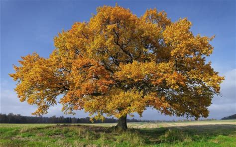Sweden seasons natural beauty HD Wallpaper Album List-Page1 ...