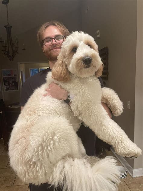 Akard Funeral Home | Bristol TN