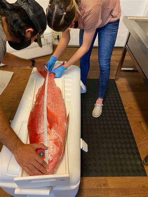 ARC Environmental Services Guam | Barrigada Guam