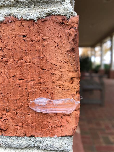 How Do You Hang Christmas Lights On A Brick Wall | Homeminimalisite.com