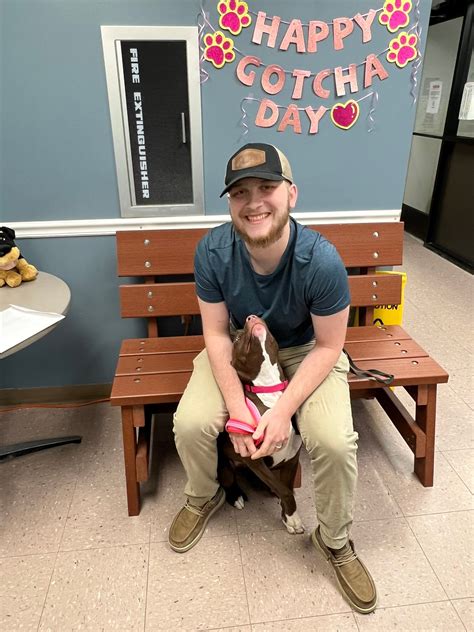 livingston county animal shelter 3