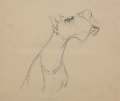101 Dalmatians Production Drawing - ID: jundalmatians18899 | Van Eaton ...