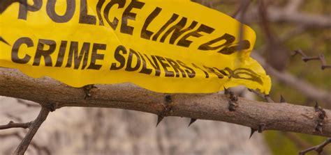 how to become a criminal investigator