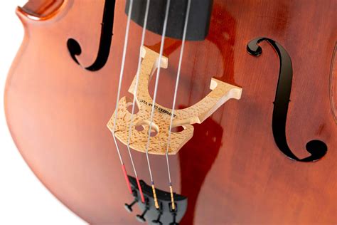 Cello European Wood Luthiers Clar | Luthiers Clar | Venta, Alquiler Y
