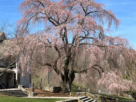 Apr 13 | Open Day at New Pond Farm Education Center | Weston, CT Patch