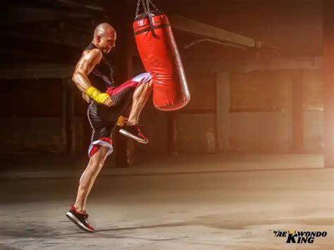 beginners guide  kickboxing taekwondo king