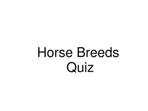 PPT - Horse Breeds Quiz PowerPoint Presentation, free download - ID:5398944