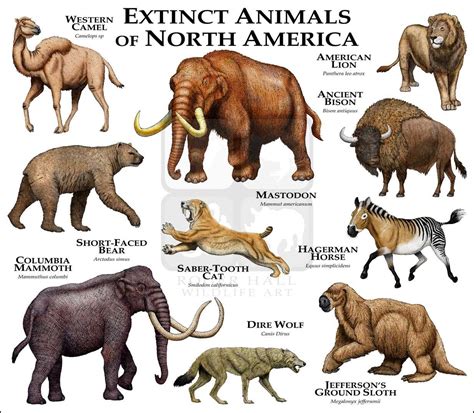 Extinct Mammals of North America Fine Art Print | Extinct animals