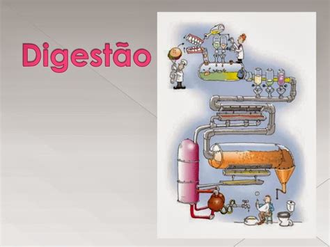 O Que É Digestão Mecanica - Alimentação Saudável: Sitações sobre parte física da digestão