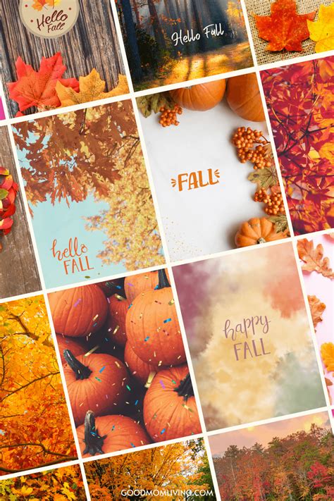 Aesthetic Fall Wallpapers - 4k, HD Aesthetic Fall Backgrounds on ...