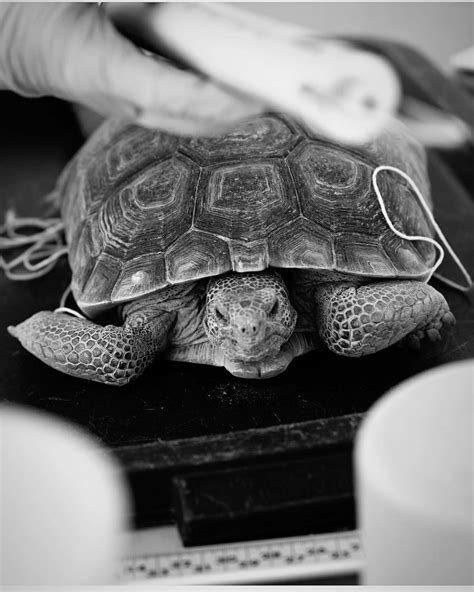 Claire Hart Photography