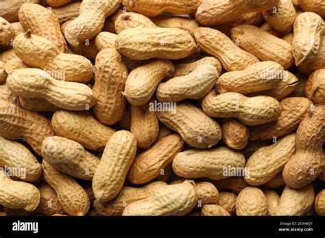 peanut   shell   background close  stock photo alamy