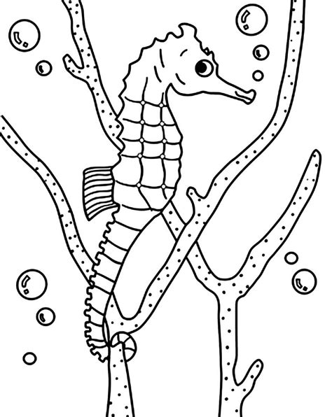 Desenhos de Cavalo-marinho para colorir - Pop Lembrancinhas