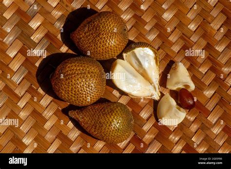 Top view of Salak gading, (Salacca edulis or Salacca zalacca), known as ...