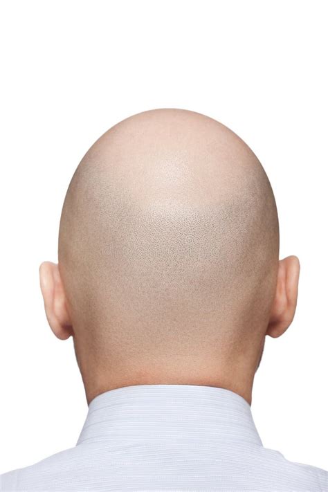 bald man head stock   royalty  stock
