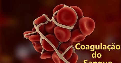 O Possui Muitas Funções No Organismo Como Na Coagulação Sanguínea