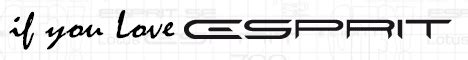 buying  esprit