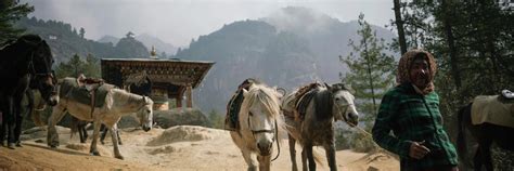 Paro Valley | Bhutan | Experience Travel Group