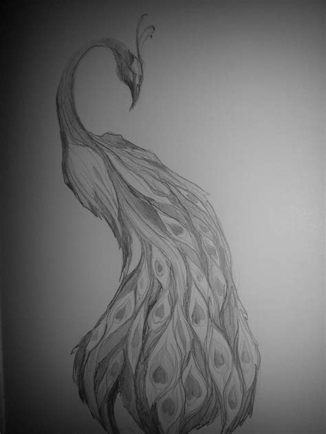 Feather Pencil Sketch at PaintingValley.com | Explore collection of ...