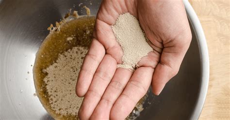 store yeast long term extend  life