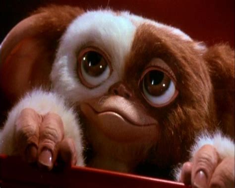 gizmo gremlins wallpapers wallpapersafari