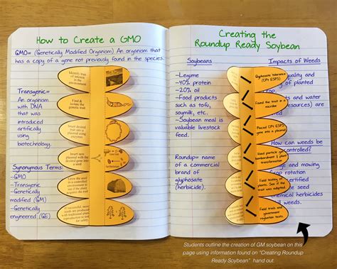 Pros And Cons Of Gmos 2