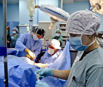 photo  brain medical science surgery hospital  body