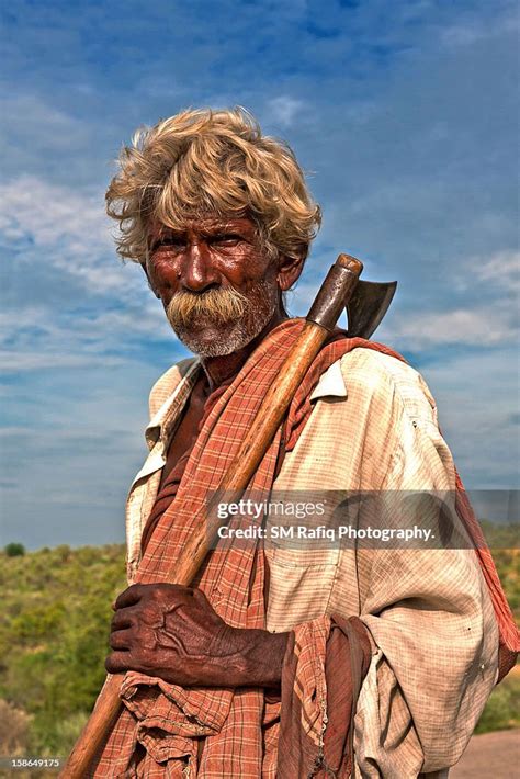 shepherd high res stock photo getty images